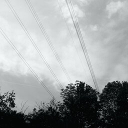DSC04217